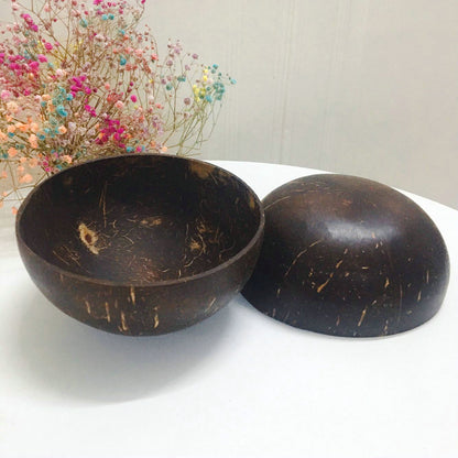 Natural Coconut Shell Bowl