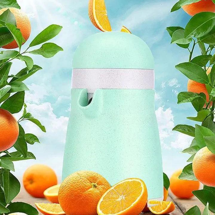 Penguin Insulated Cup | GREENCHOICE