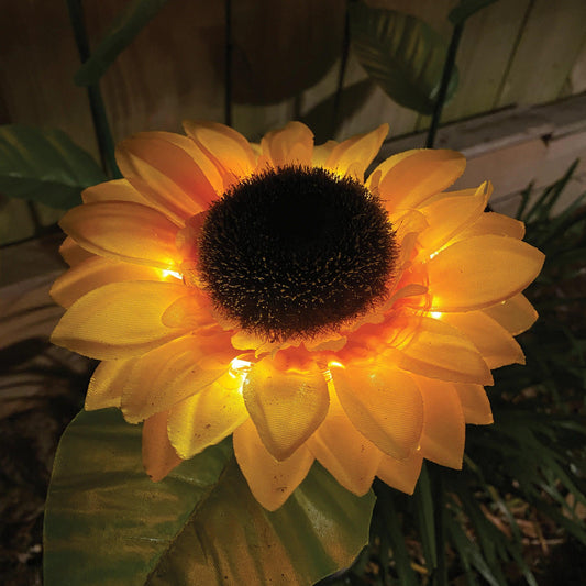 Solar-Powered Sunflower Lights | GREENCHOICE